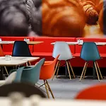 Ibis Mainz